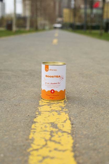 BoosTEA Enerji ve Metabolizma - Mate, Ginseng, Zencefil ve Limon Otu
